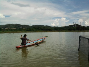 Dam Duriangkang - Batam - Indonesia